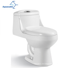 Aquacúbico Agua Agua de agua Cupc Watersense Certificado Montado One Piece Ceramic Toliet WC Watilt